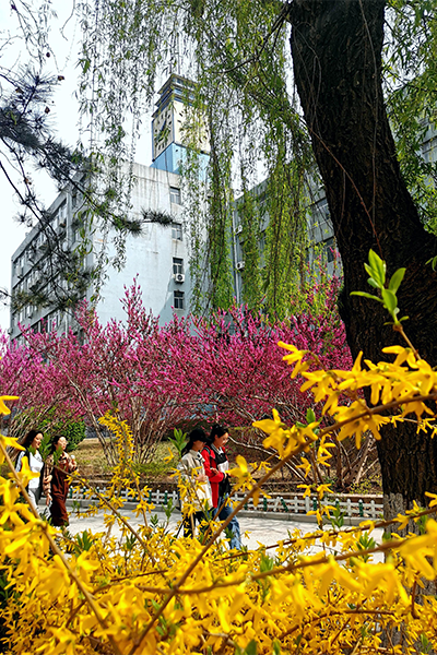 济南大学