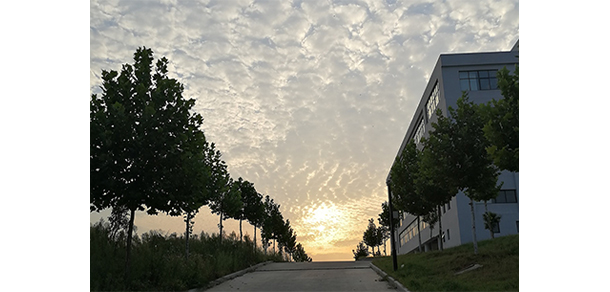 青岛工学院 - 最美大学