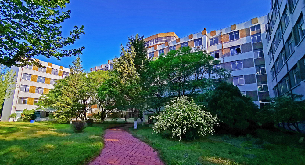 青岛农业大学海都学院：校名题写 / 校徽设计