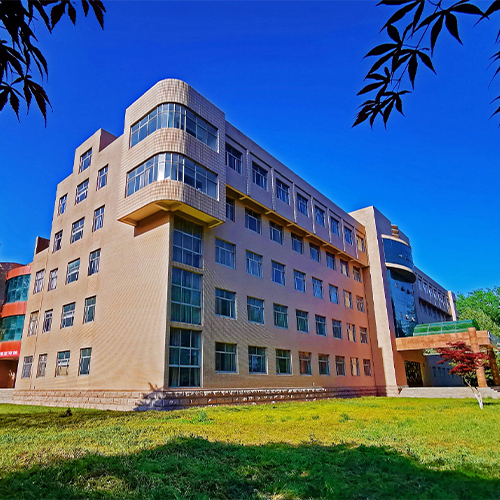 青岛农业大学海都学院 - 棠梨落雨 · 陌上花开