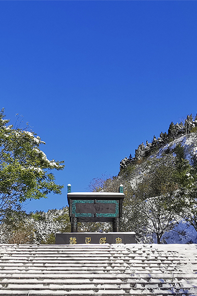 山东政法学院