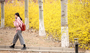 齐鲁师范学院-校园风光