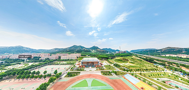 山东管理学院