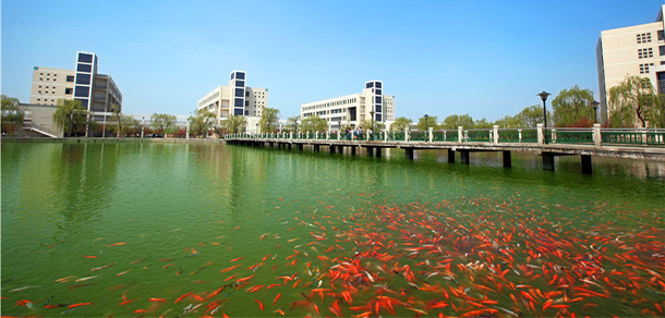 淄博职业学院 - 最美院校