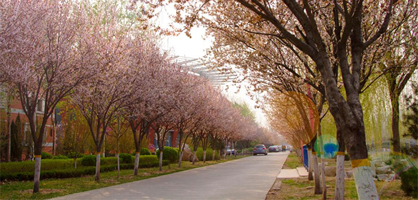 山东工业职业学院