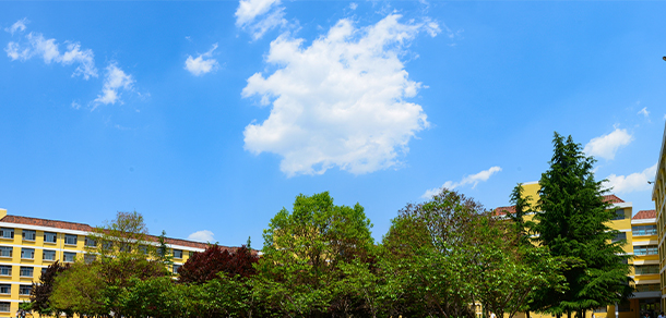 临沂职业学院 - 最美大学