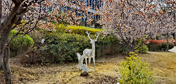 枣庄职业学院 - 最美院校