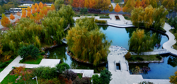 山东职业学院