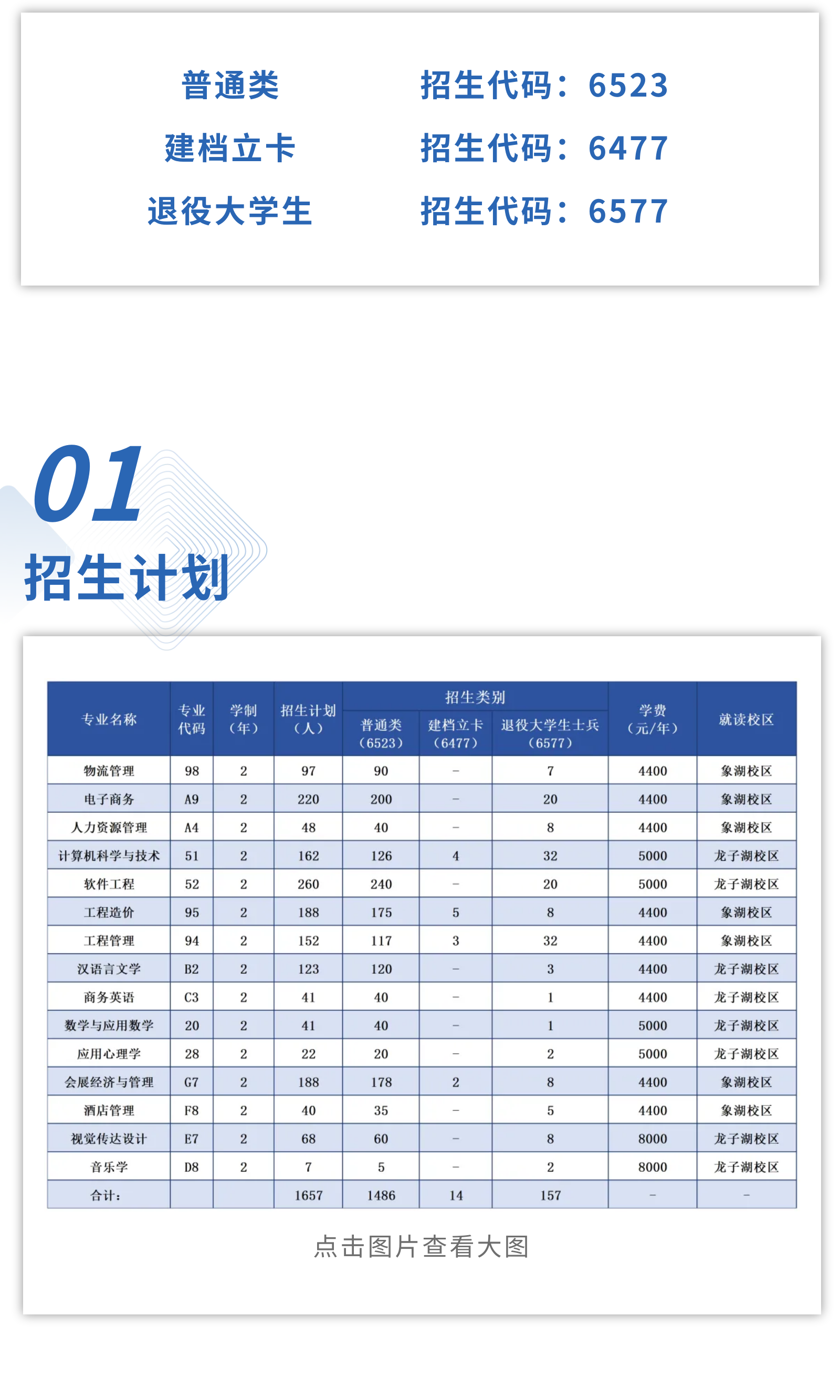 河南财政金融学院2024年普通高等学校专升本招生计划