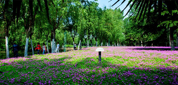 南阳理工学院 - 最美大学