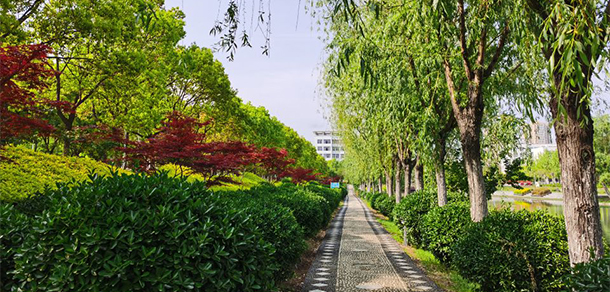 南阳理工学院 - 最美大学