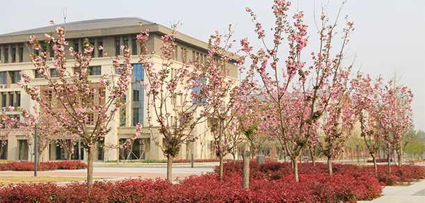 新乡工程学院 - 最美大学