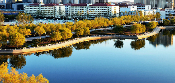 郑州经贸学院