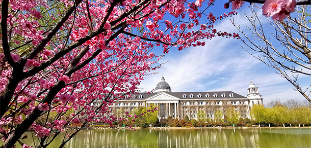 河南农业大学