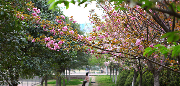 我的大學-大學志