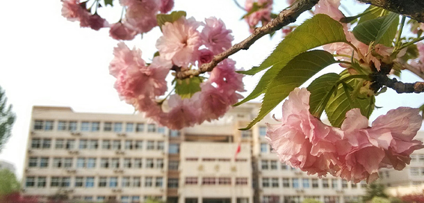 我的大學-大學志