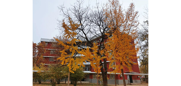 濮阳石油化工职业技术学院 - 最美大学