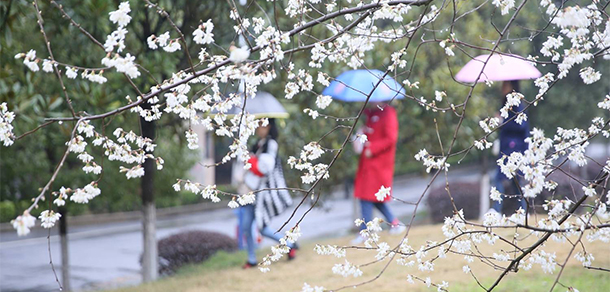 南华大学 - 最美大学