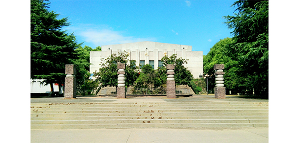 我的大學-大學志