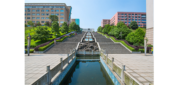 我的大學-大學志