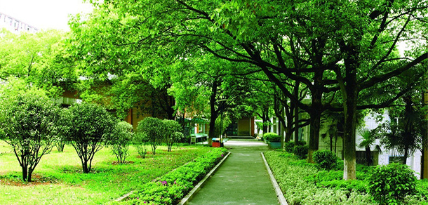 湖南安全技术职业学院 - 最美大学