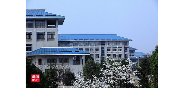 湖北中医药大学 - 最美大学