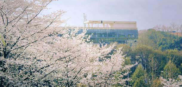 三峡大学