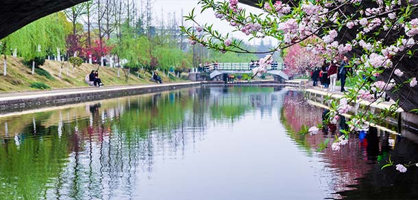 三峡大学