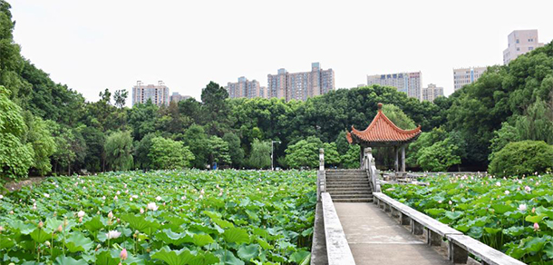 我的大學-大學志