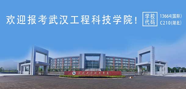 武汉工程科技学院