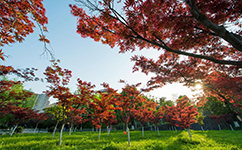 湖北工业职业技术学院 - 我的大学