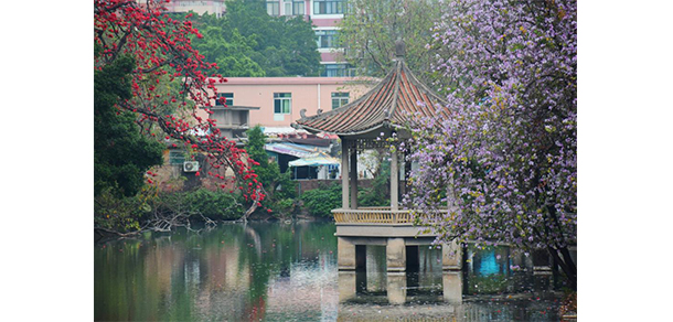 广州航海学院 - 最美大学