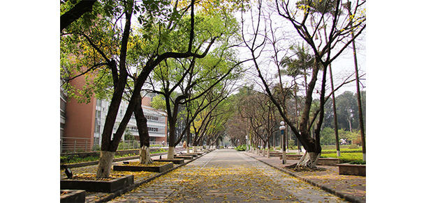 广东外语外贸大学