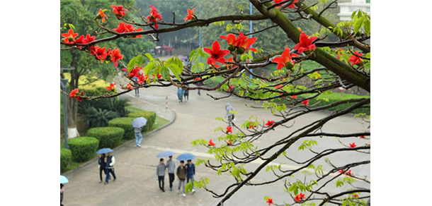 我的大學-大學志