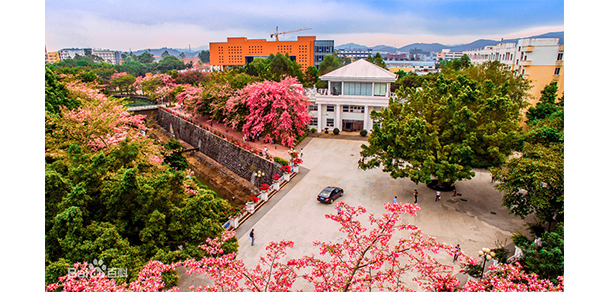 广州软件学院