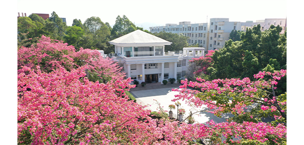 广州软件学院 - 最美大学