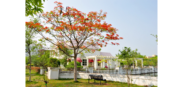 广州软件学院 - 最美大学