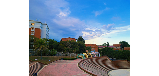 我的大學-大學志