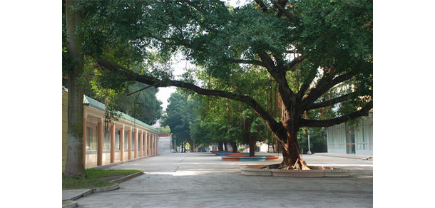 湛江幼儿师范专科学校