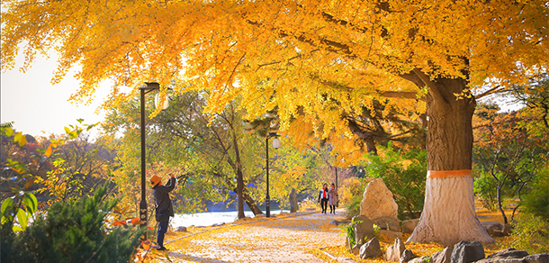 北京大学