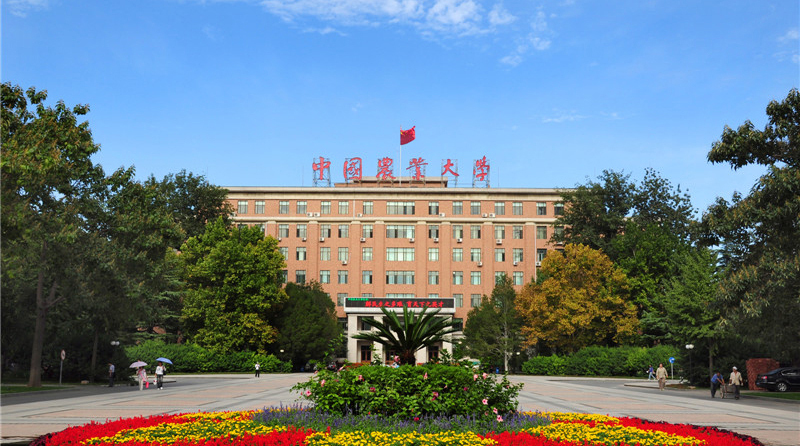 中国农业大学 早安青春