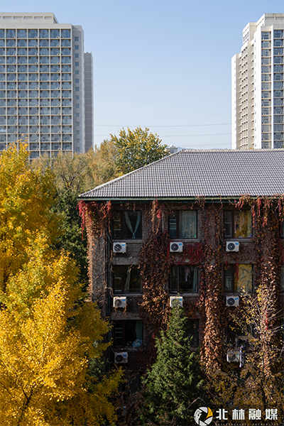 北京林业大学