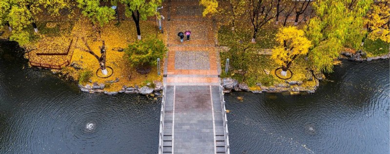 中国传媒大学 早安青春