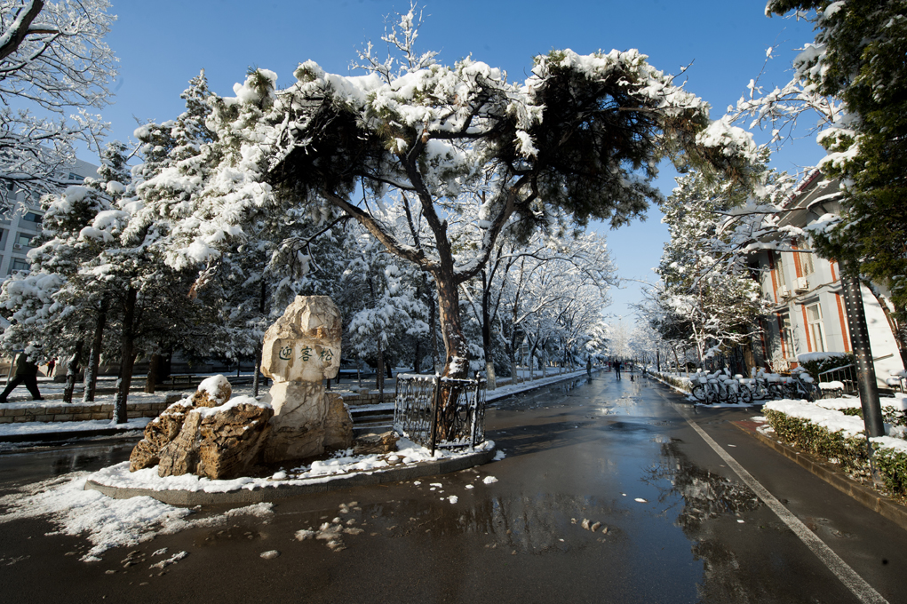 北京交通大学 早安青春