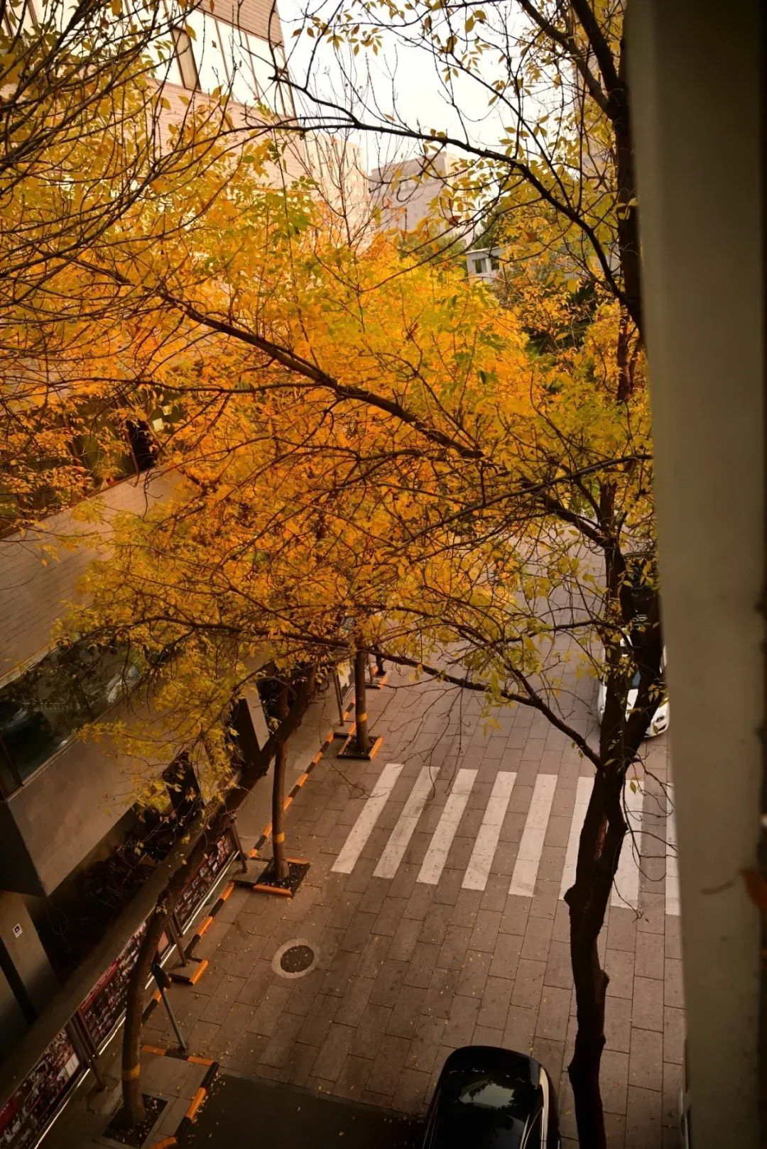 北京电影学院-校园风景