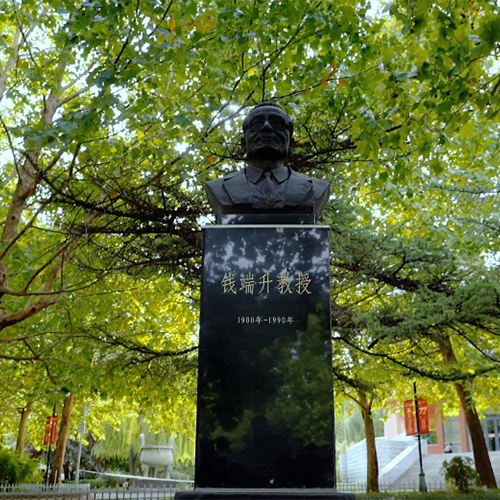 中国政法大学 - 棠梨落雨 · 陌上花开