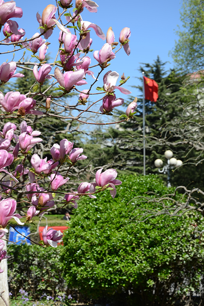 中国劳动关系学院