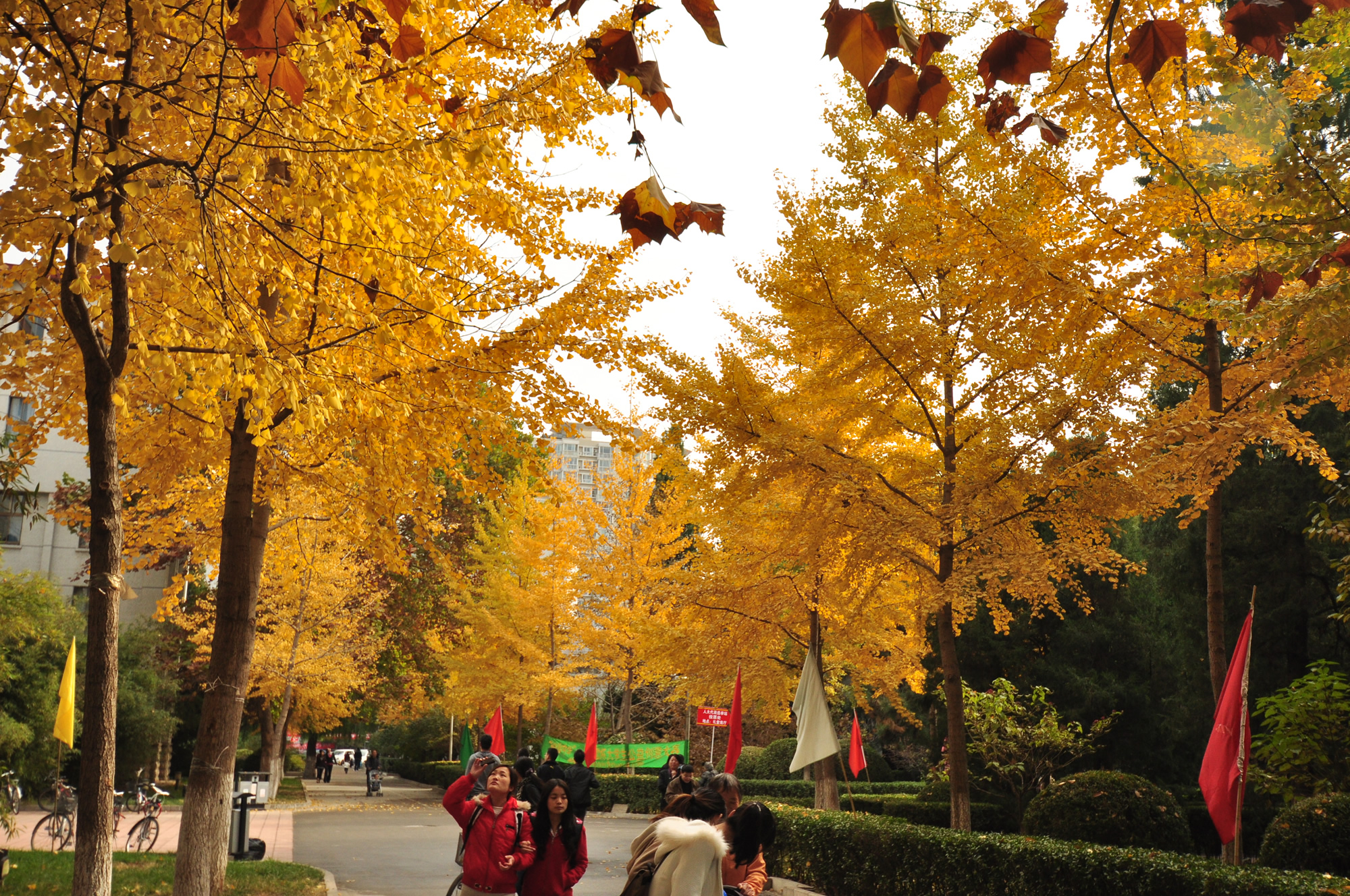 中国劳动关系学院-校园风景