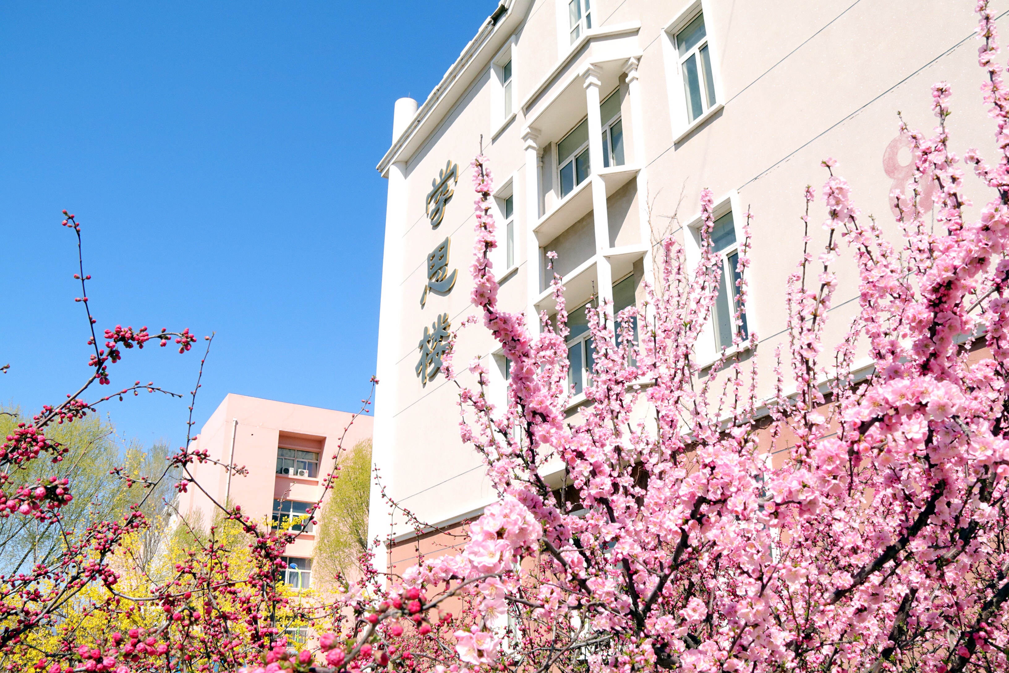 北京邮电大学世纪学院 早安青春