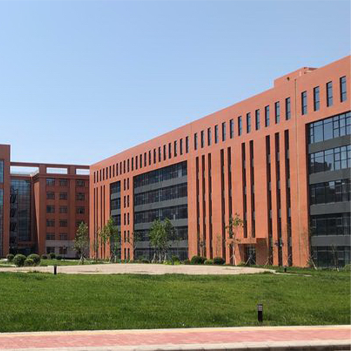 我的大学